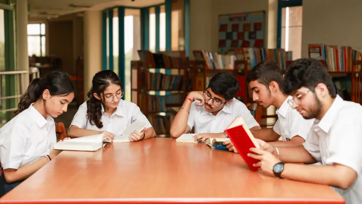 Curriculum Gallery