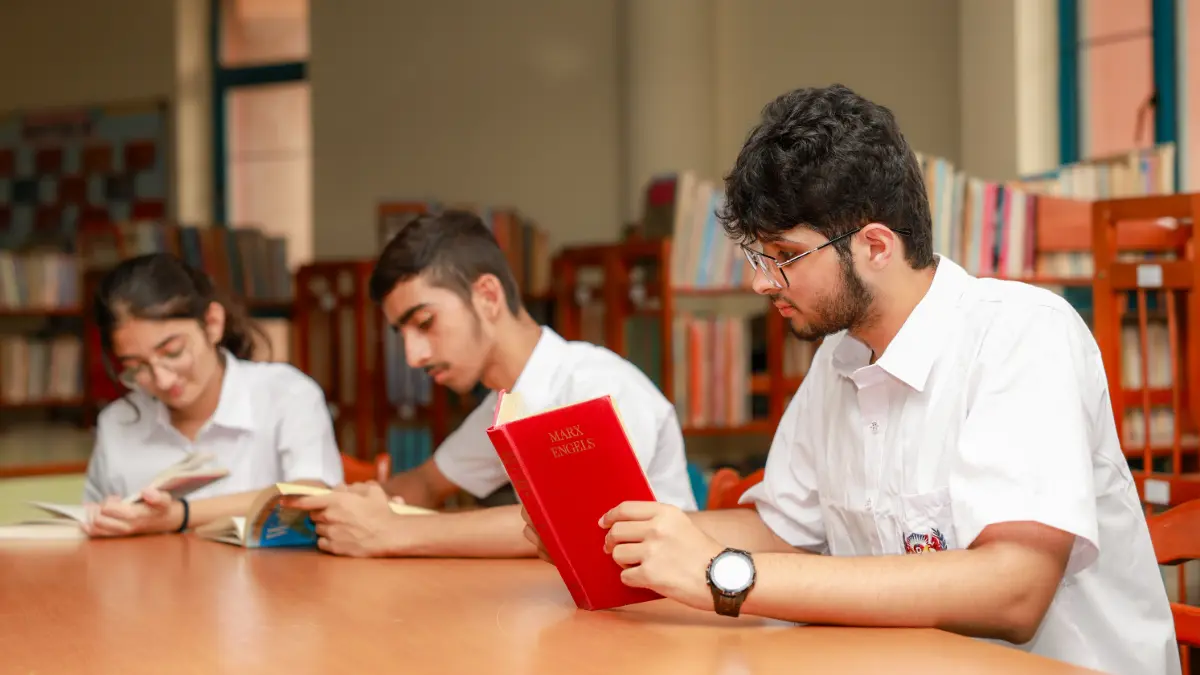 Curriculum Gallery