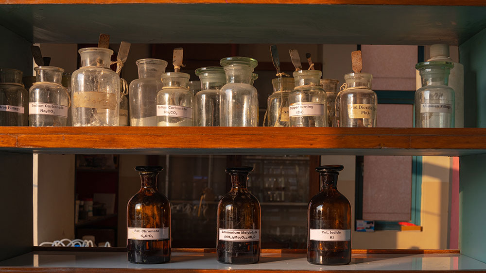 Labs Gallery
