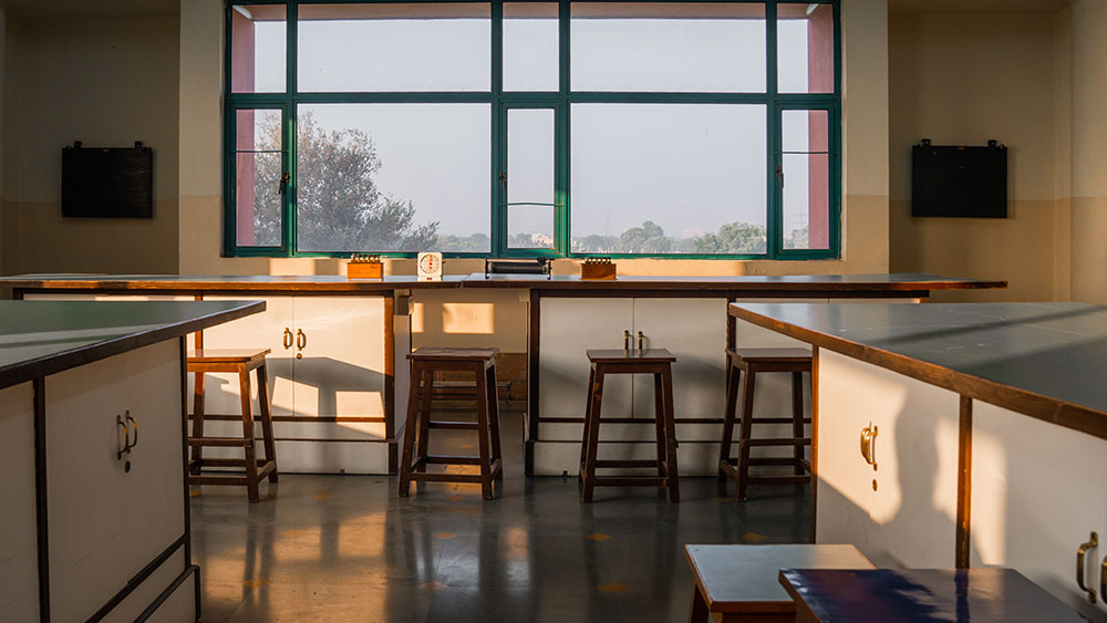 Labs Gallery