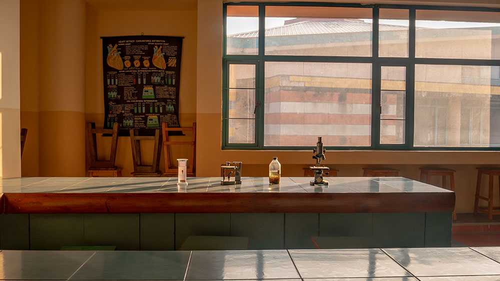 Labs Gallery