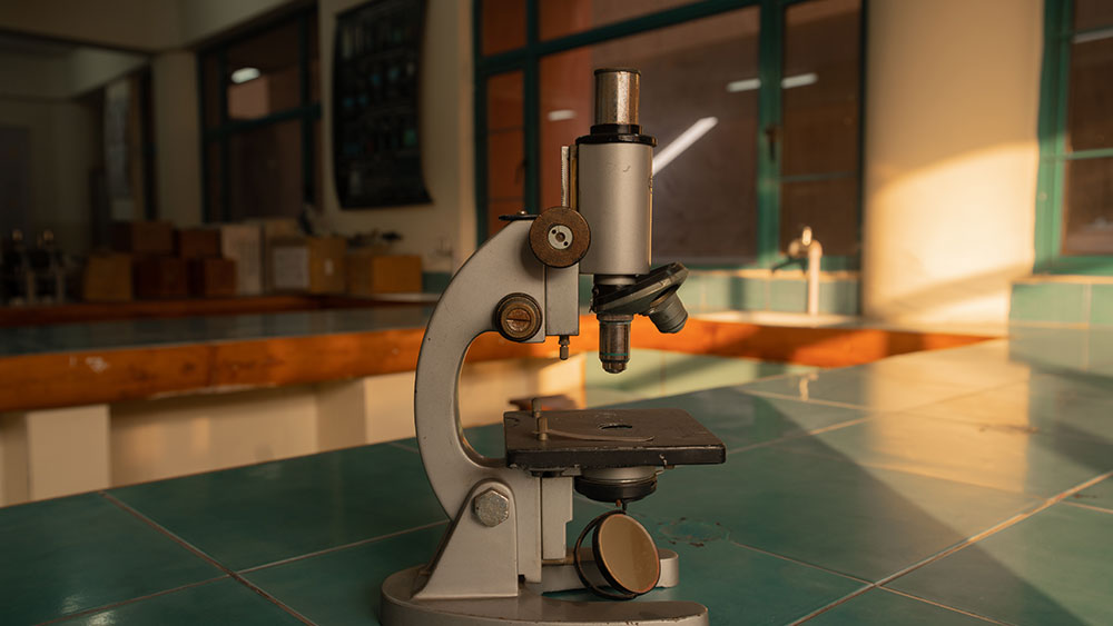 Labs Gallery