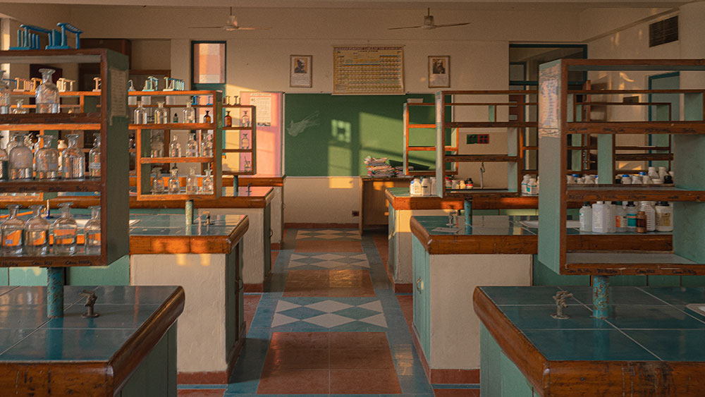 Labs Gallery