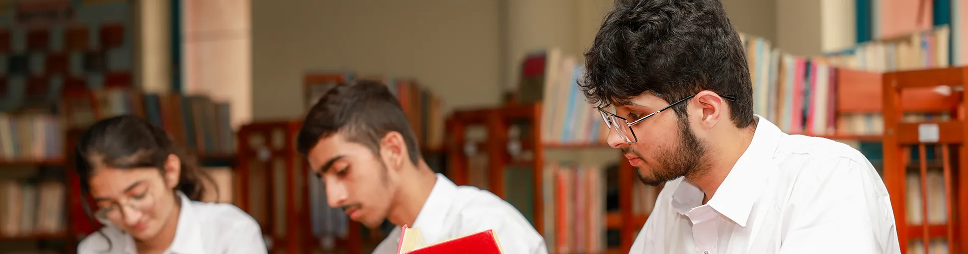Curriculum Banner